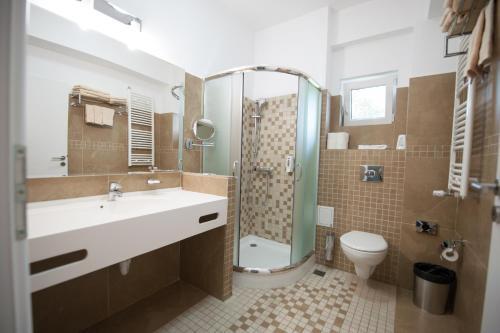 Bruxelles Guesthouse Craiova - 463