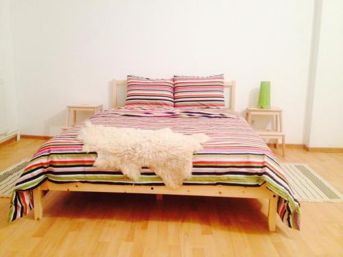 Bucur's Shelter Hostel - 374