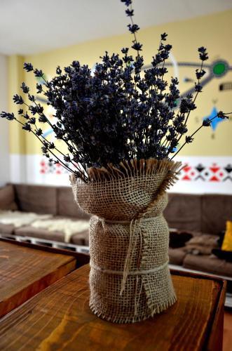 Bucur's Shelter Hostel - 139
