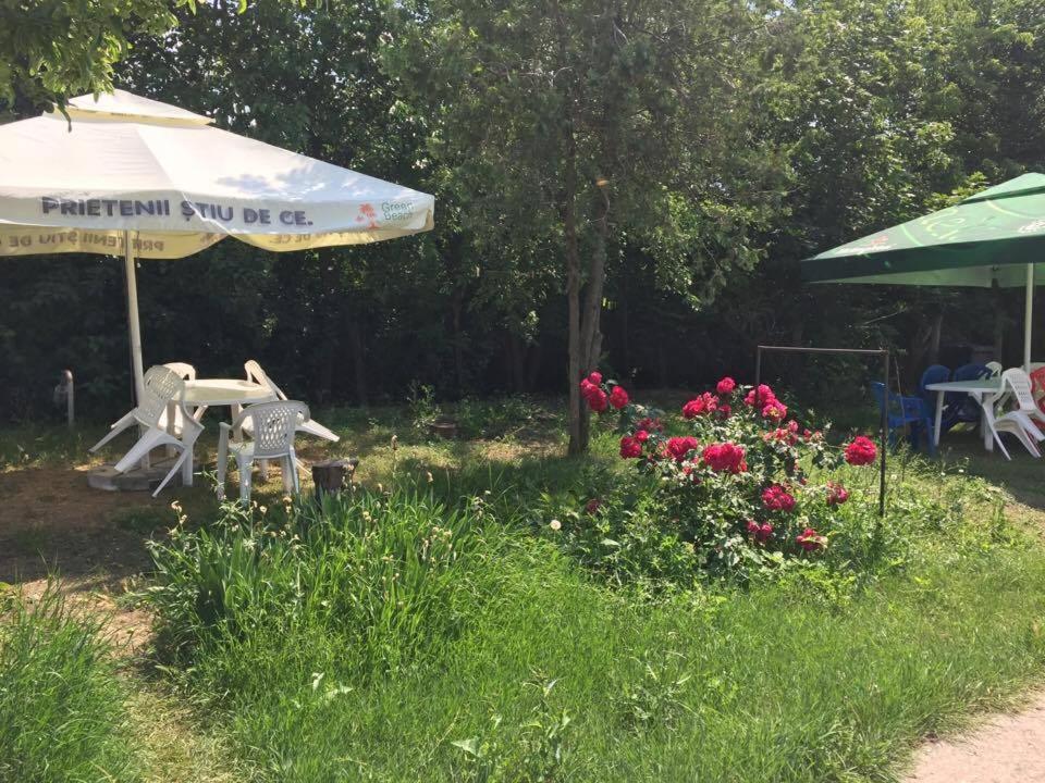 Bungalow Eforie Nord - 71