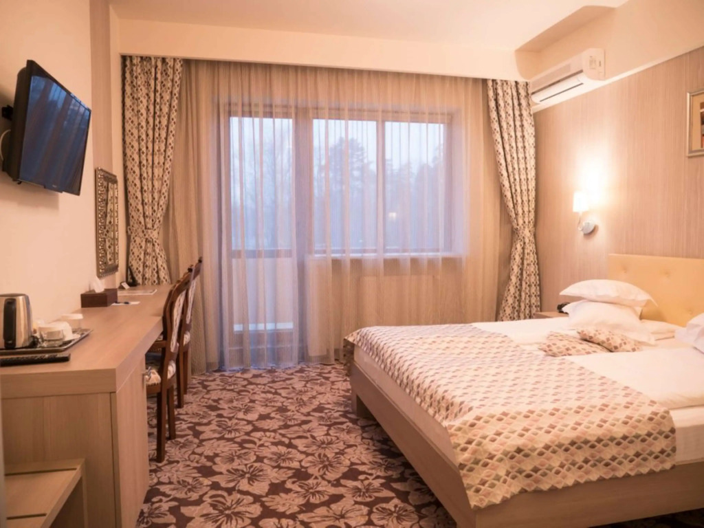 Best Western Silva Hotel - 245