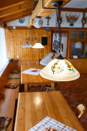 Cabana Cerbul-Oasa-Transalpina - 17