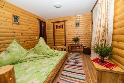 Cabana Dochita 2 - 211