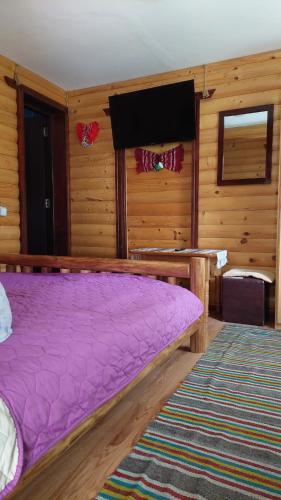 Cabana Dochita 2 - 684