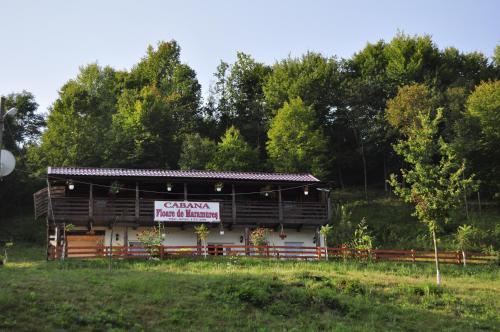 Cabana Floare de Maramures - 355