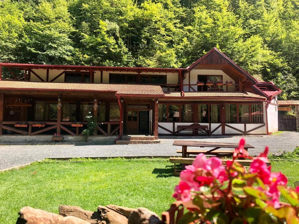 Cabana Ovidiu - 591