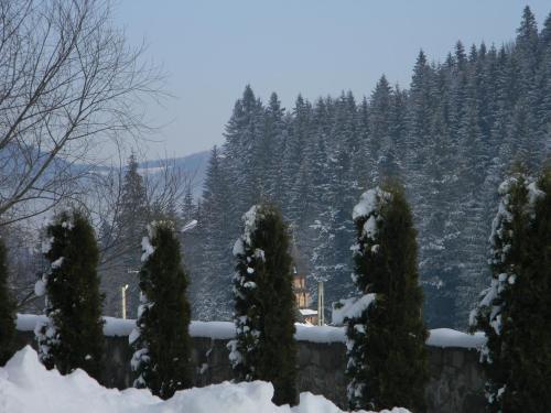Cabana Putna Dorina - 574