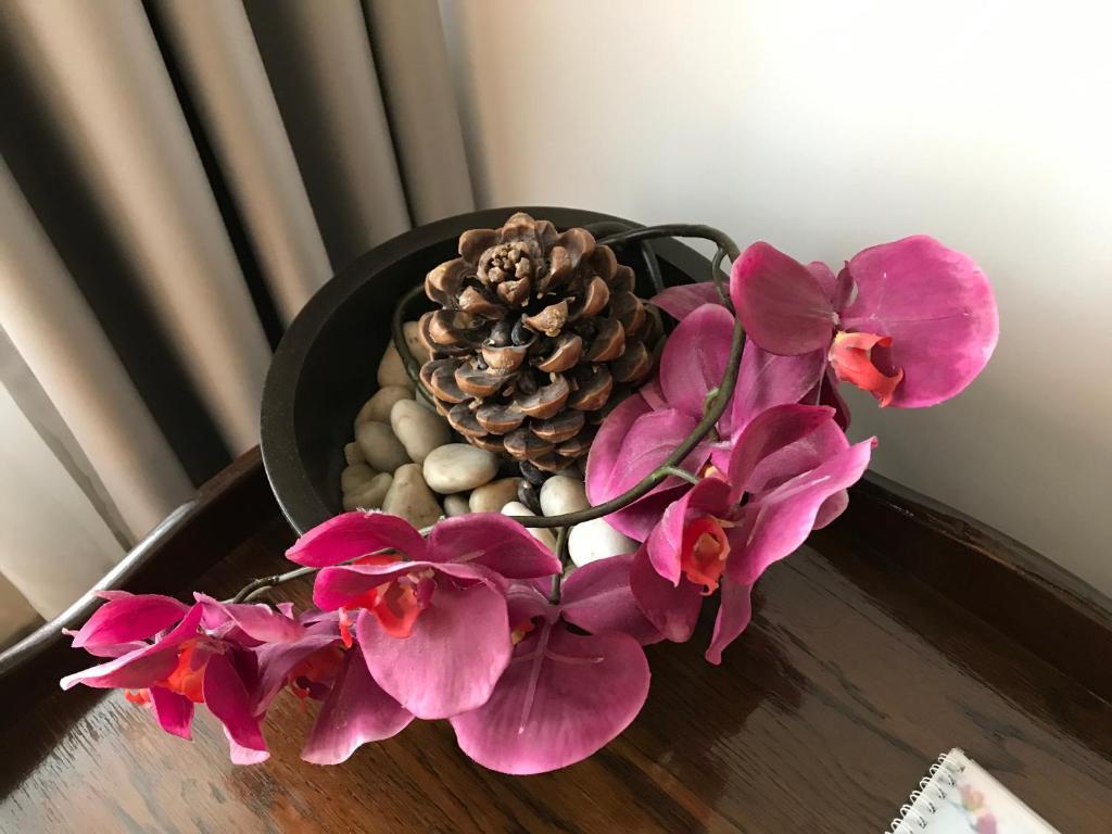 Calea Poienii Penthouse - 535