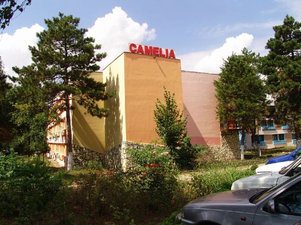 Hotel Camelia - 12