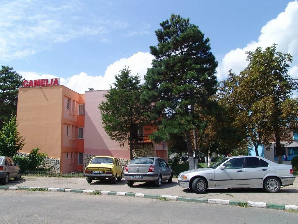Hotel Camelia - 968