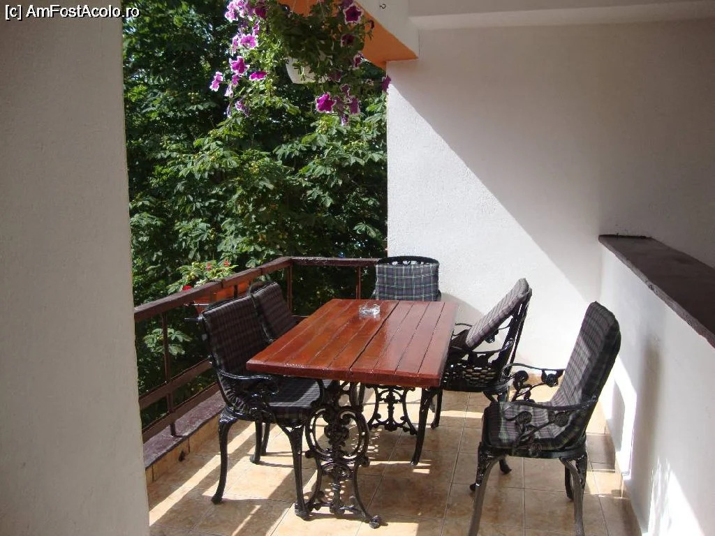 Hotel Camelia - 346