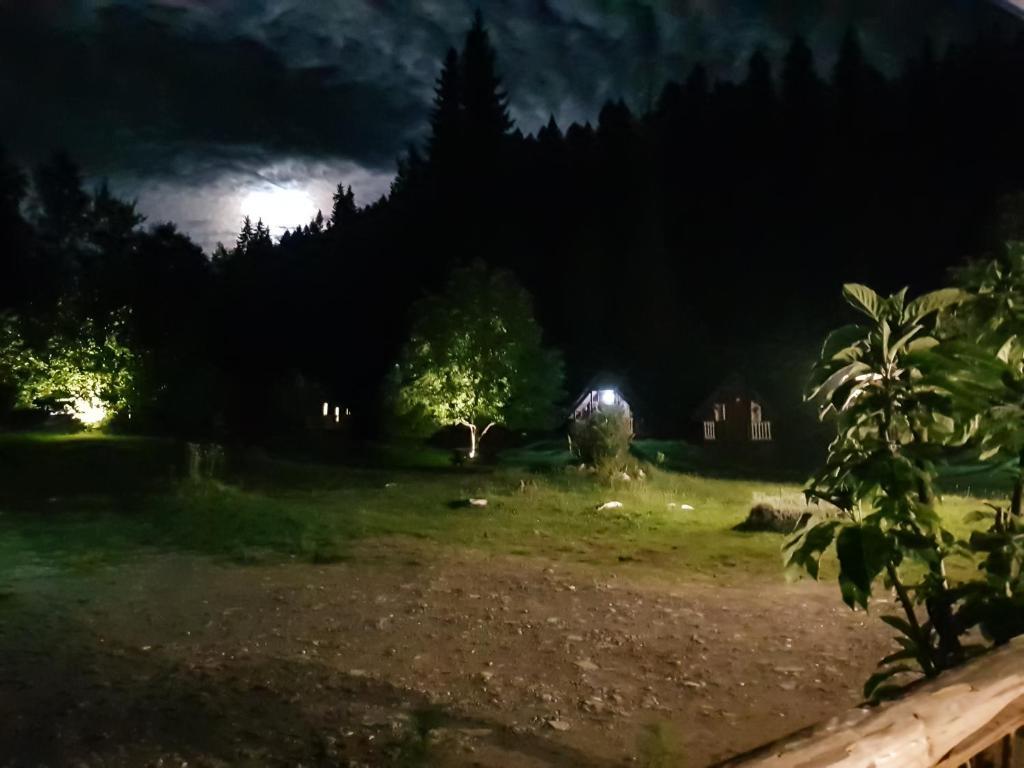 Camping Ursulet Durau - 427