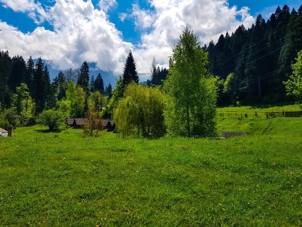 Camping Ursulet Durau - 270