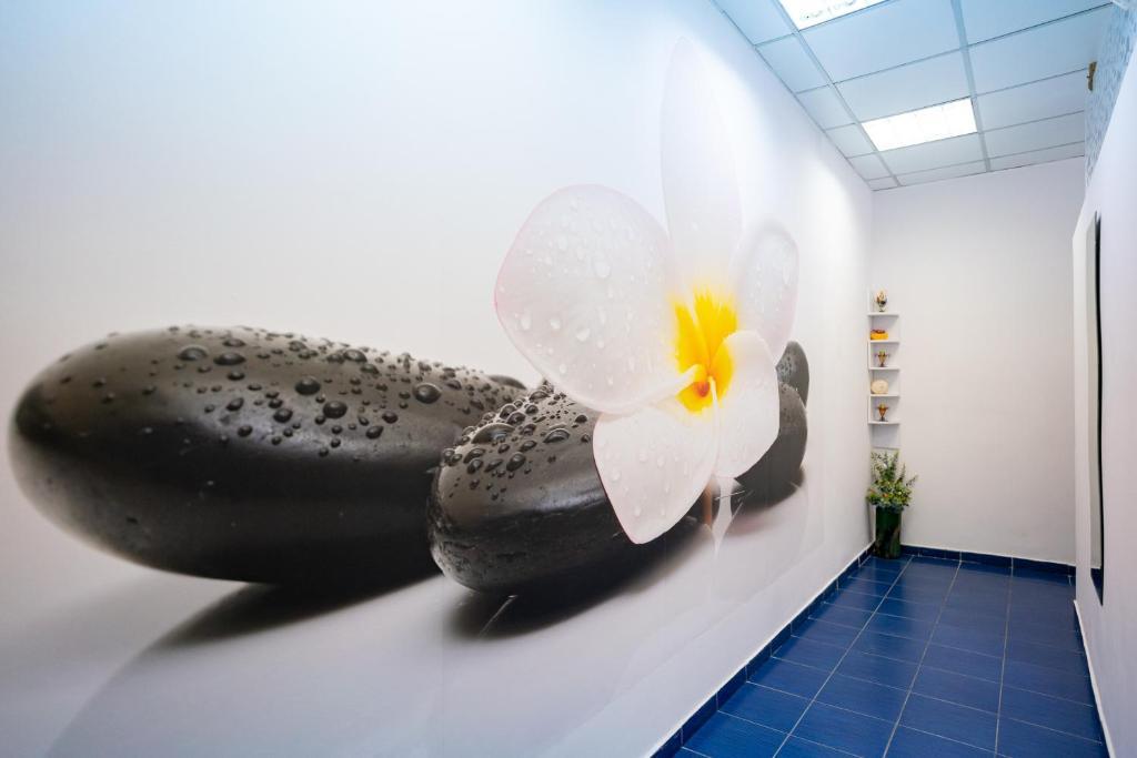 Caprioara Spa&Wellness Resort - 451
