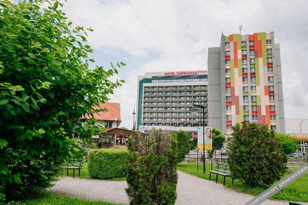 Caprioara Spa&Wellness Resort - 527