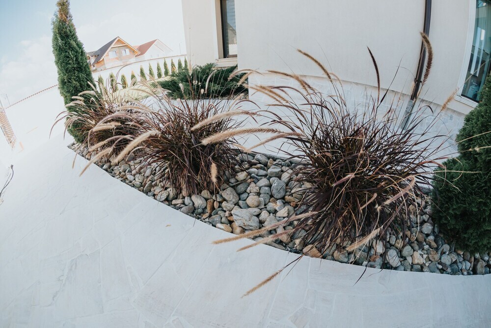 Carla Residence - 821