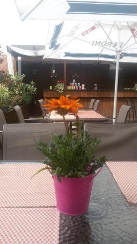 Caro Boutique Hotel&Restaurant - 988