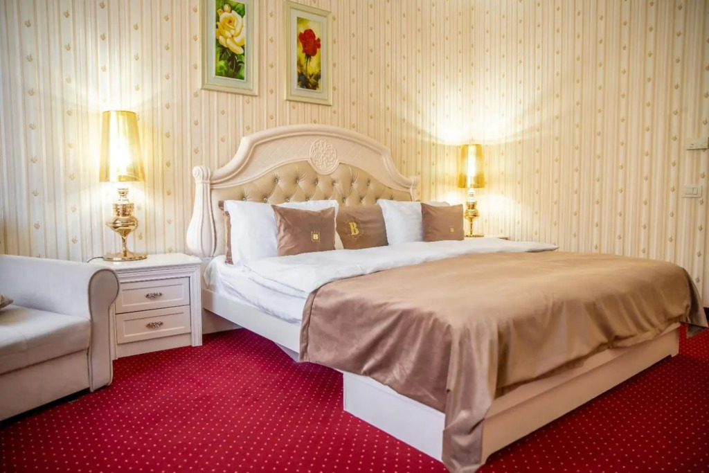 Hotel Carpathia - 563