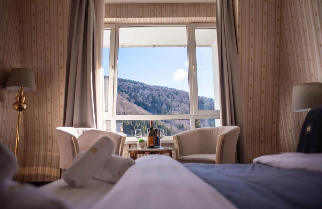 Hotel Carpathia - 804