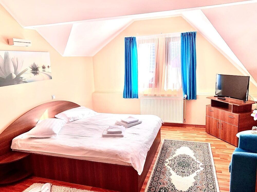 Casa Ador Sinaia - 792