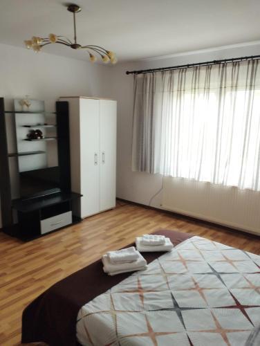 Casa Alex - 997
