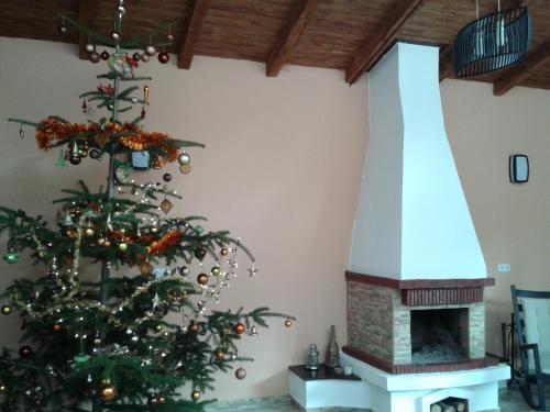 Casa Altfel - 446