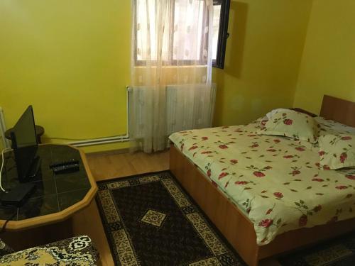 Pensiunea CASA ANDREEA - 247