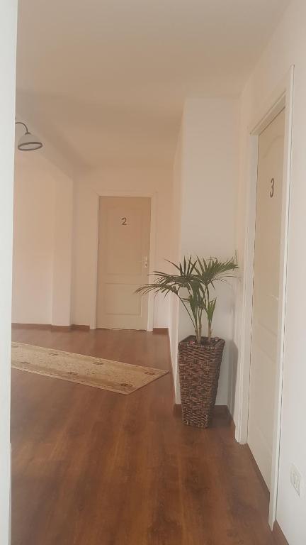 Casa Andrei Techirghiol - 538