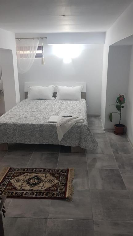 Casa Andrei Techirghiol - 677