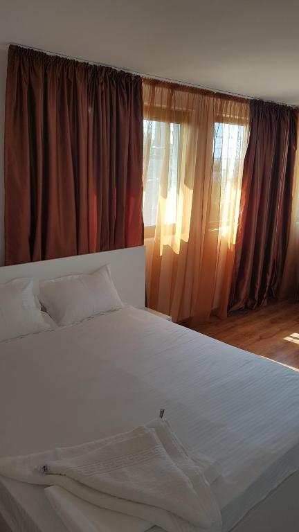 Casa Andrei Techirghiol - 321