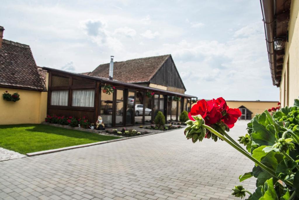 Casa Antonia Homestay - 429