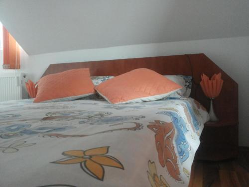 Casa Azugeana - 731