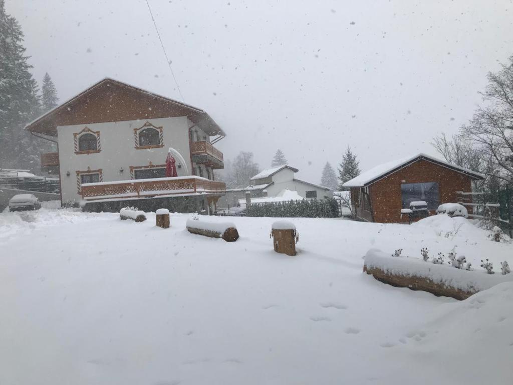 Casa Belcin - 252
