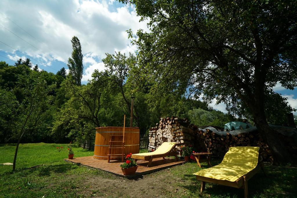 Casa Bunicii - 434