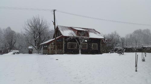 Casa Bunicului - 976