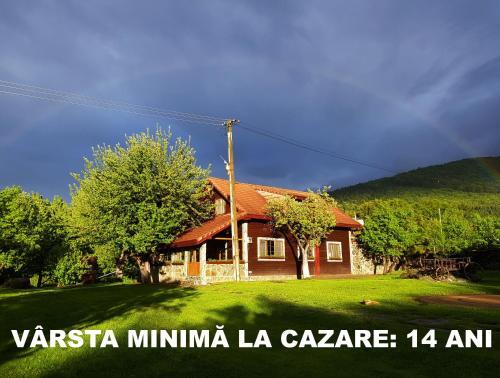 Casa Bunicului - 615