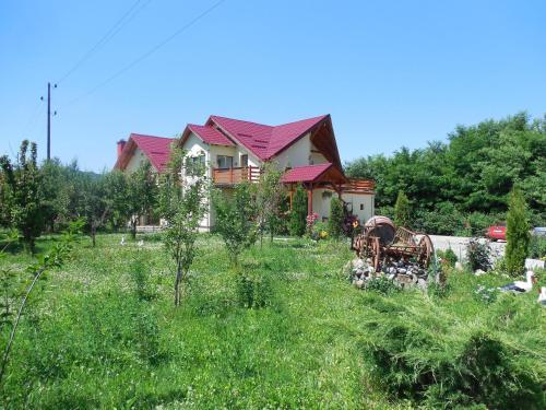 Casa Candea Sighisoara - 13