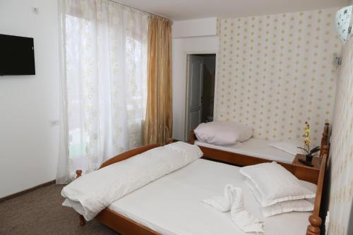 Casa Candea Sighisoara - 93