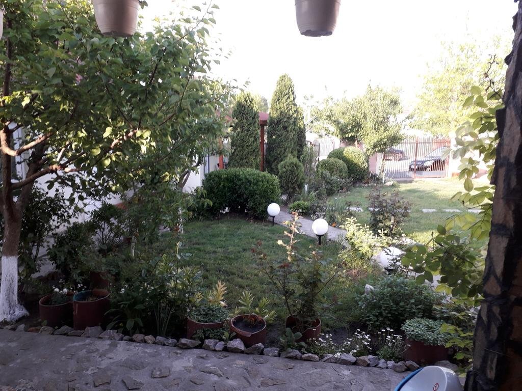 Casa Chitu - 804
