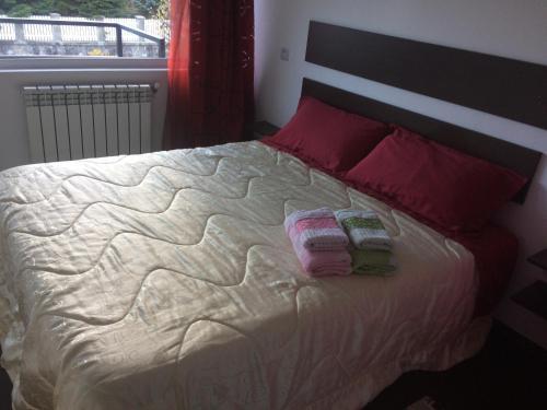 Buşteni House - 796