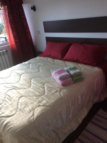 Buşteni House - 748
