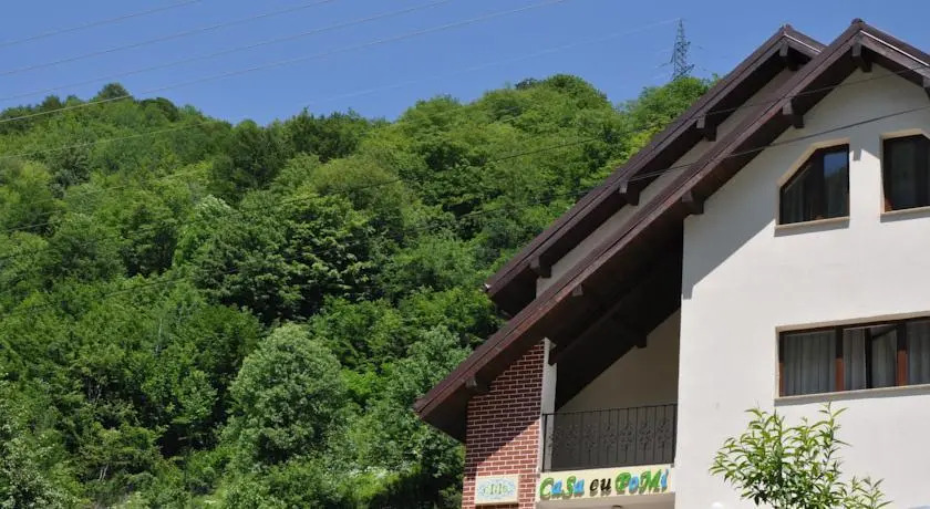 Casa cu Pomi - 599
