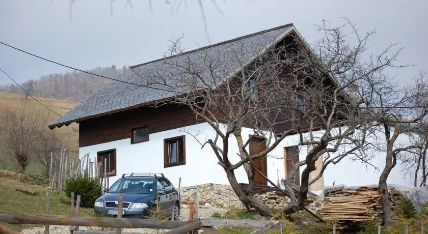 Casa De Creatie - 427