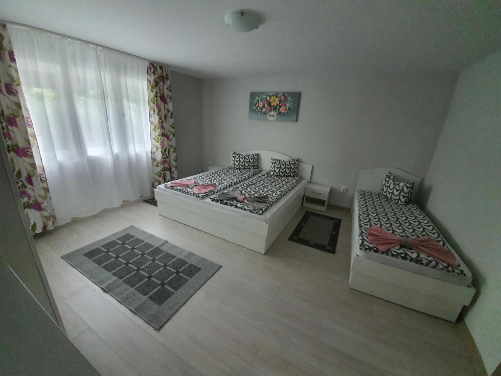 Casa De Oaspeti Anna - 78