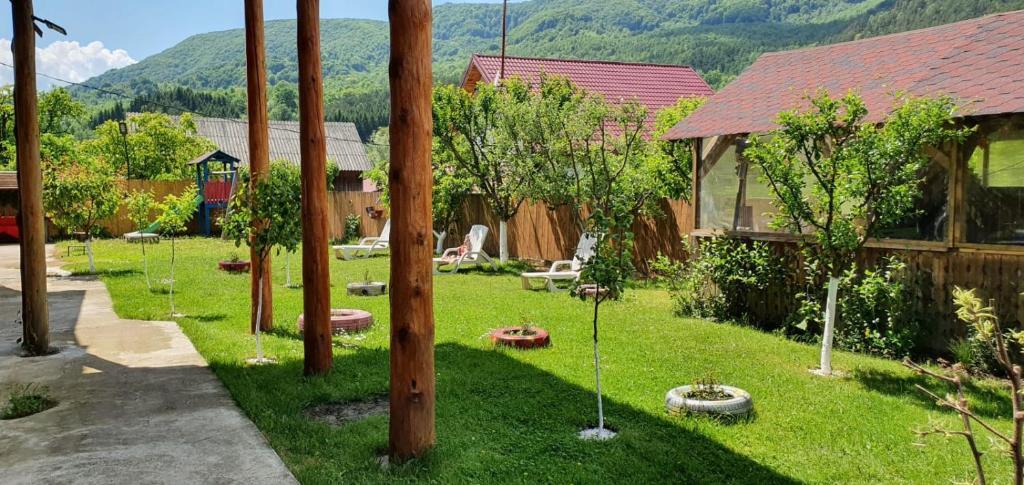 Casa de Vacanta Neagu - 764