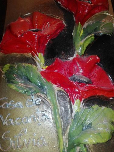 Casa De Vacanta Silvia Varmaga - 627