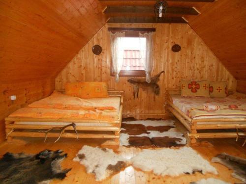 Casa de vacanta Vidrighin - 119