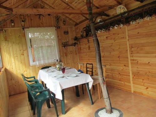 Casa de vacanta Vidrighin - 860