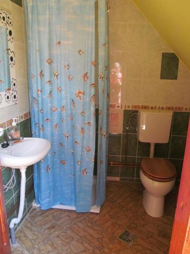 Casa de vacanta Vidrighin - 932