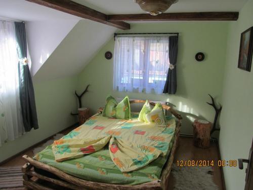 Casa de vacanta Vidrighin - 207